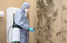 Asbestos and Lead Testing During Mold Inspection in Topeka, KS